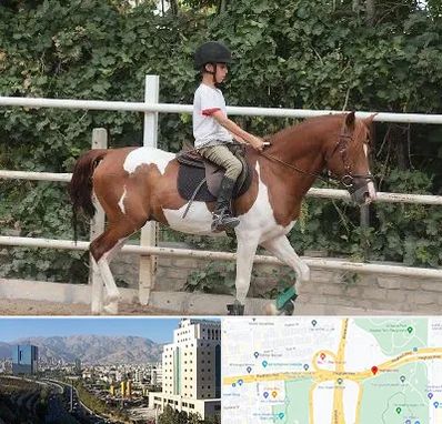 آموزش سوارکاری در حقانی 