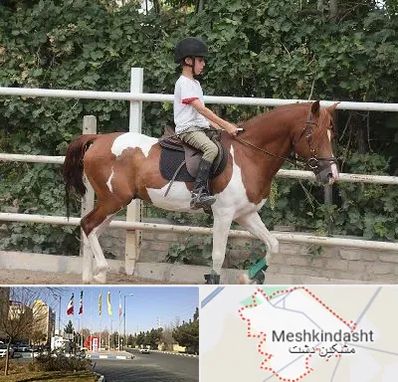 آموزش سوارکاری در مشکین دشت