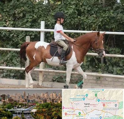 آموزش سوارکاری در منطقه 1 تهران 