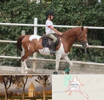 آموزش سوارکاری در تویسرکان