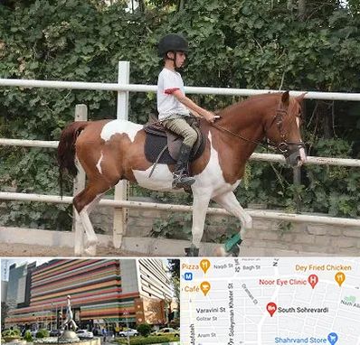 آموزش سوارکاری در سهروردی 