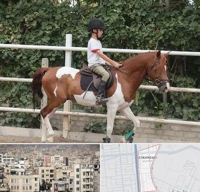 آموزش سوارکاری در اسکندری