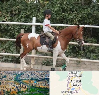 آموزش سوارکاری در اردبیل