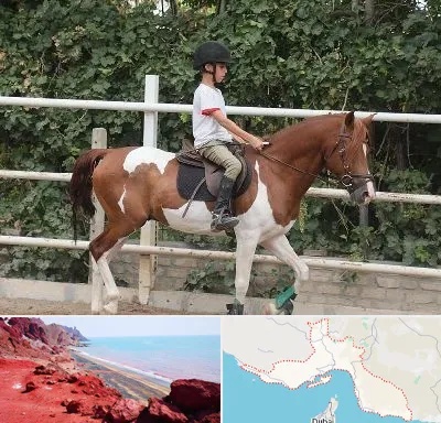 آموزش سوارکاری در هرمزگان