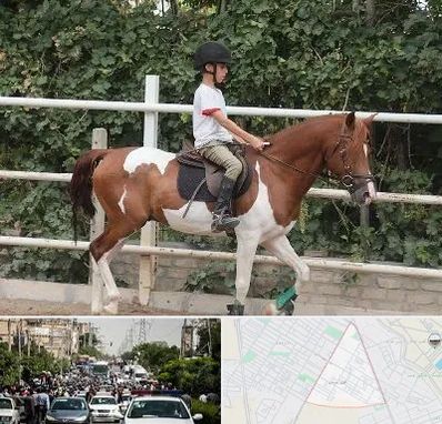 آموزش سوارکاری در سیدی مشهد 