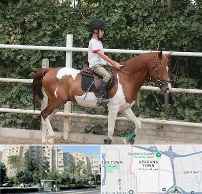 آموزش سوارکاری در آپادانا