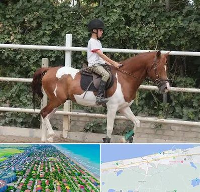 آموزش سوارکاری در فریدونکنار