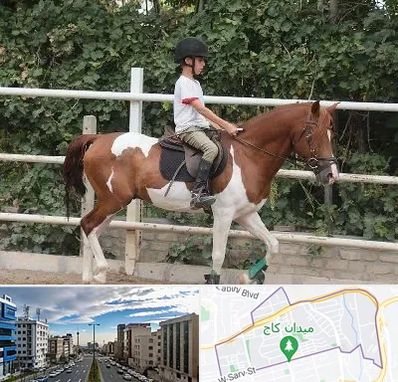 آموزش سوارکاری در سعادت آباد 