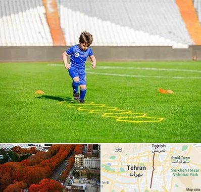 مدرسه فوتبال در ولیعصر