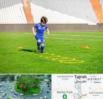 مدرسه فوتبال در تجریش