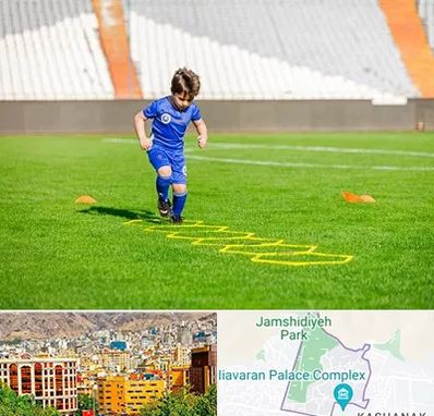 مدرسه فوتبال در نیاوران