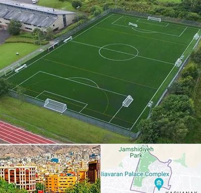 زمین فوتبال در نیاوران