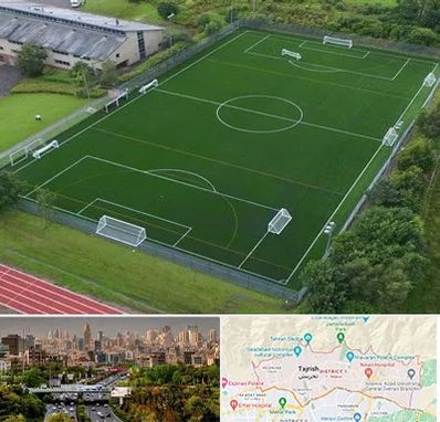 زمین فوتبال در منطقه 1 تهران