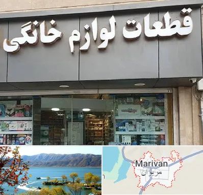 قطعات لوازم خانگی در مریوان