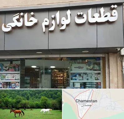 قطعات لوازم خانگی در چمستان