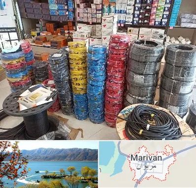 پخش عمده لوازم الکتریکی در مریوان