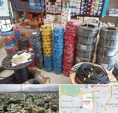 پخش عمده لوازم الکتریکی در گیشا 