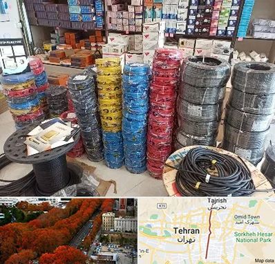 پخش عمده لوازم الکتریکی در ولیعصر 