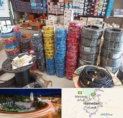 پخش عمده لوازم الکتریکی در همدان