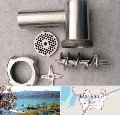 قطعات چرخ گوشت در مریوان