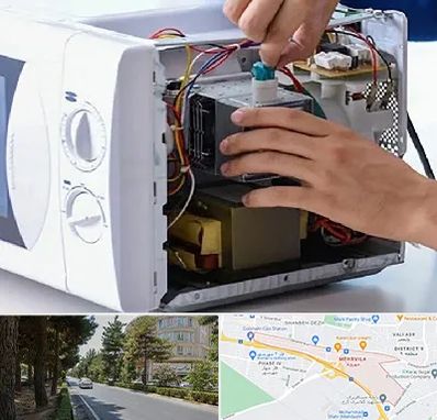 قطعات مایکروفر در مهرویلا کرج 