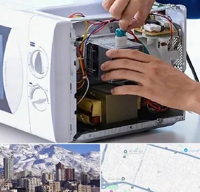 قطعات مایکروفر در ازگل