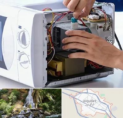 قطعات مایکروفر در الیگودرز