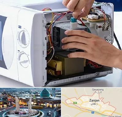 قطعات مایکروفر در زنجان