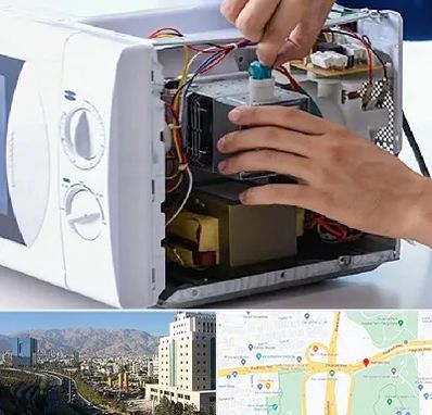 قطعات مایکروفر در حقانی