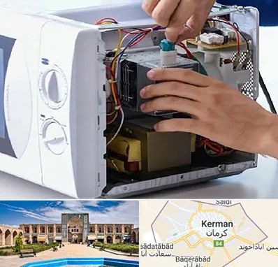 قطعات مایکروفر در کرمان