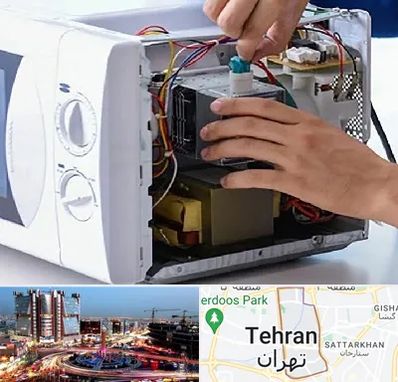 قطعات مایکروفر در صادقیه 