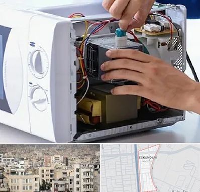 قطعات مایکروفر در اسکندری