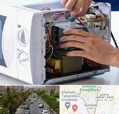 قطعات مایکروفر در شهران
