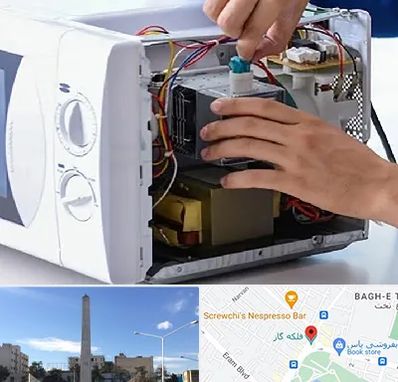 قطعات مایکروفر در فلکه گاز شیراز 