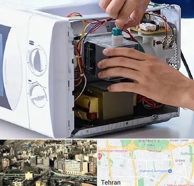 قطعات مایکروفر در مرزداران 