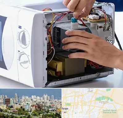 قطعات مایکروفر در شرق تهران 