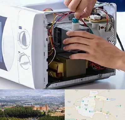 قطعات مایکروفر در بیرجند