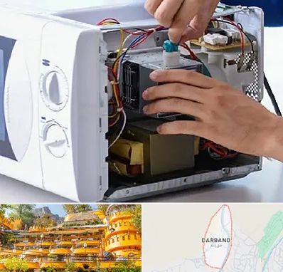 قطعات مایکروفر در دربند