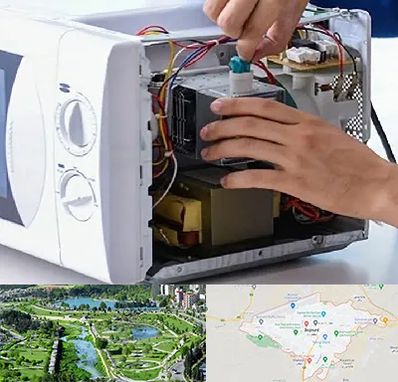 قطعات مایکروفر در بجنورد