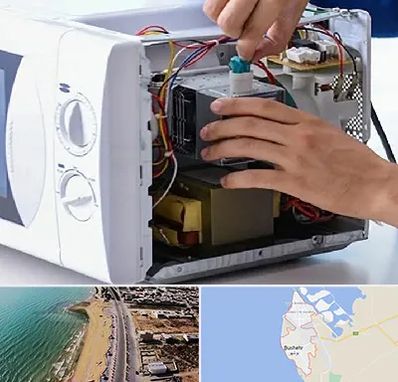 قطعات مایکروفر در بوشهر