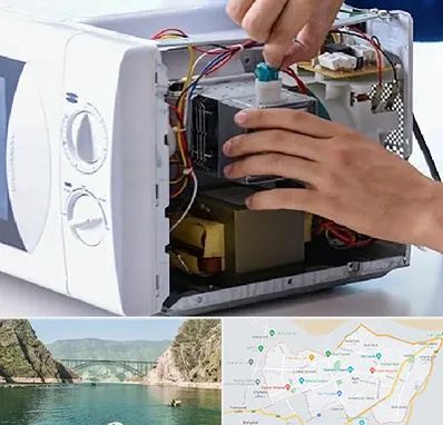 قطعات مایکروفر در ایلام