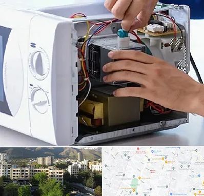 قطعات مایکروفر در دیباجی 