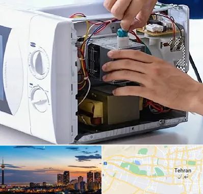 قطعات مایکروفر در غرب تهران 