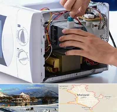 قطعات مایکروفر در ملایر