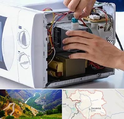 قطعات مایکروفر در کردستان