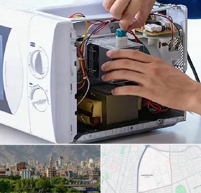 قطعات مایکروفر در جمشیدیه