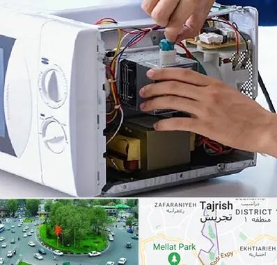 قطعات مایکروفر در تجریش 