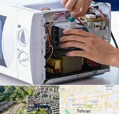 قطعات مایکروفر در شمال تهران 