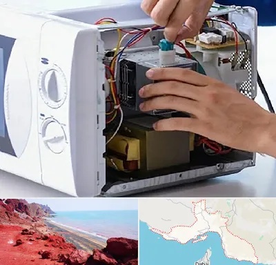 قطعات مایکروفر در هرمزگان