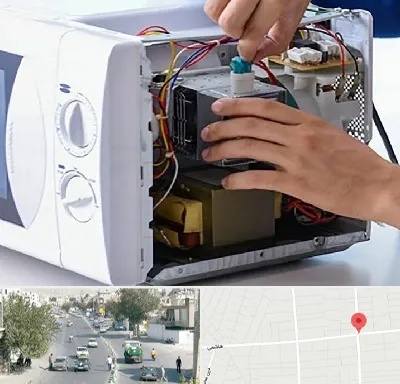 قطعات مایکروفر در هاشمی